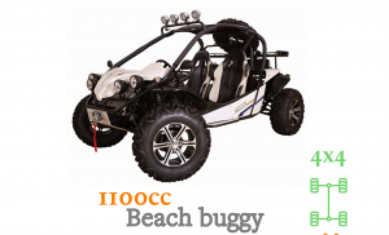 Beach buggy 1100cc