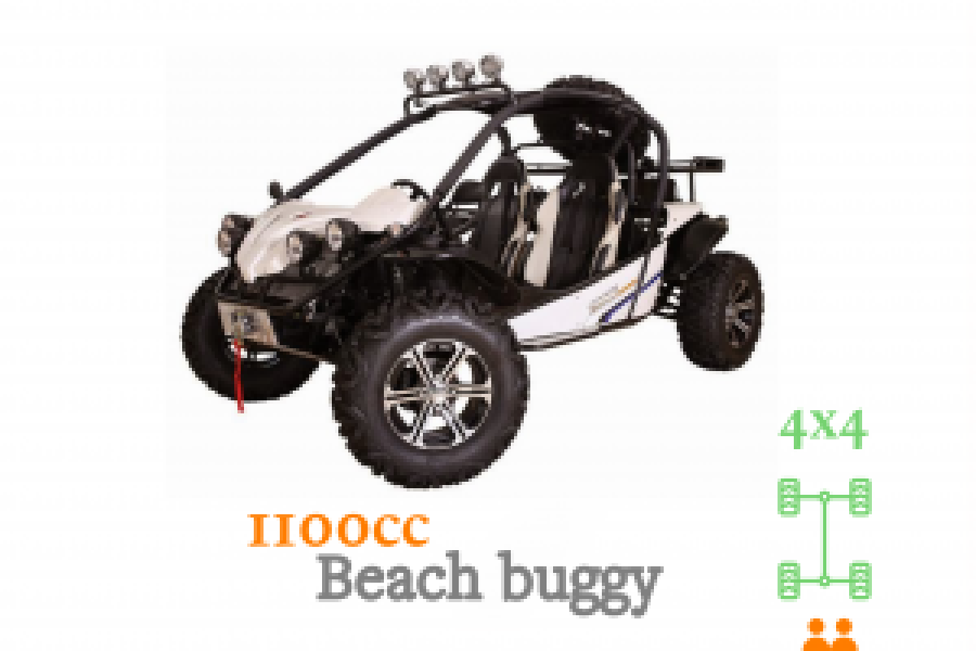 Beach buggy 1100cc